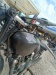 IMG20231013162316