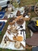 IMG20251005103530