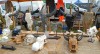 IMG20260503120113