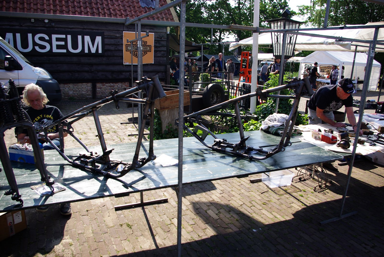 IMGP8516