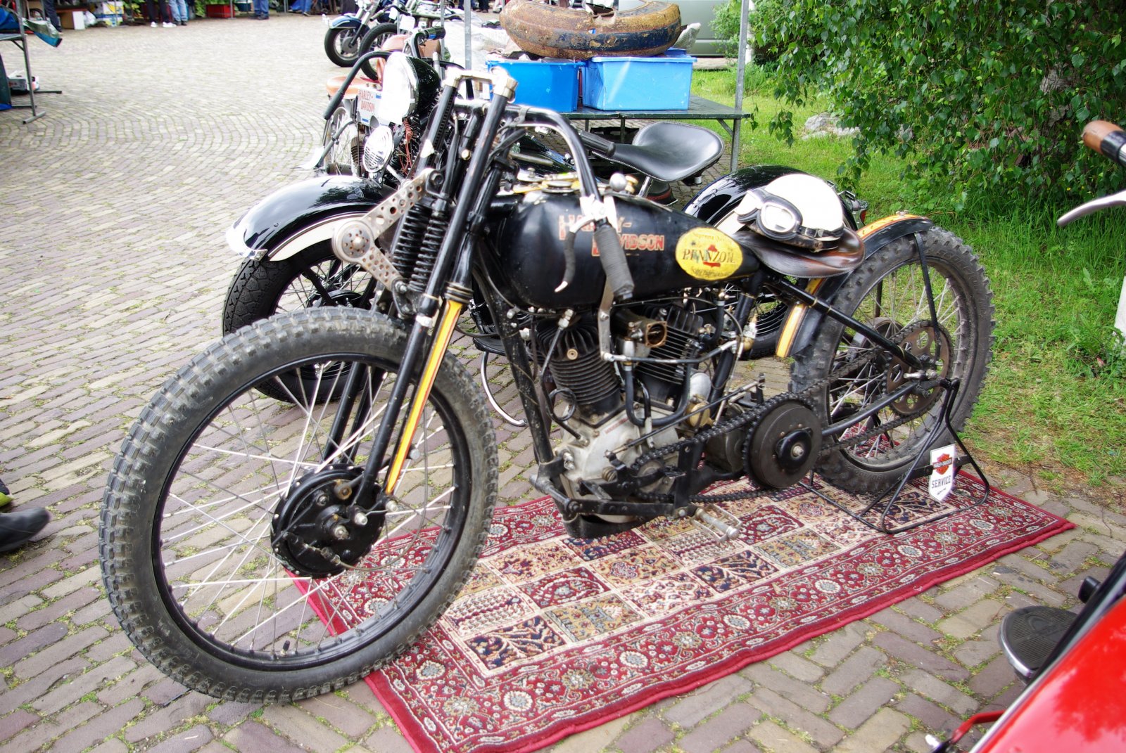 IMGP8642