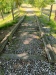 IMG20260620103422