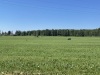 IMG_4172