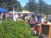20150524_143252
