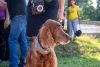 Foto-Alar-Koot-6022