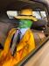 IMG-20260913-WA0039