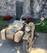 IMG20230611121132